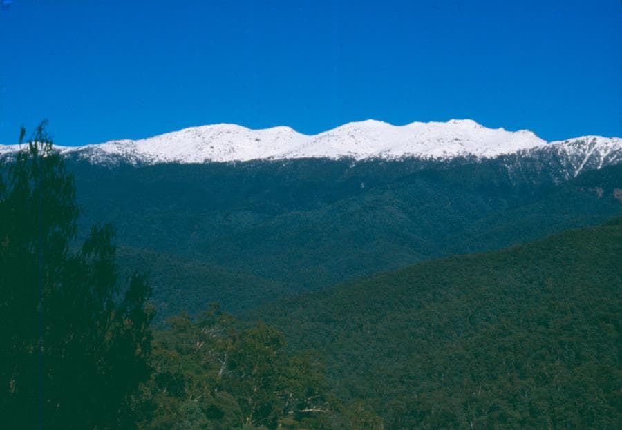 Main Range