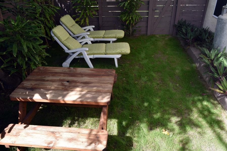 Garden area